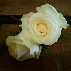 fwthumb07 double rose buttonhole 9.95.jpg